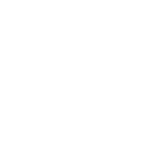 Donaciones a SEORI vía PayPal