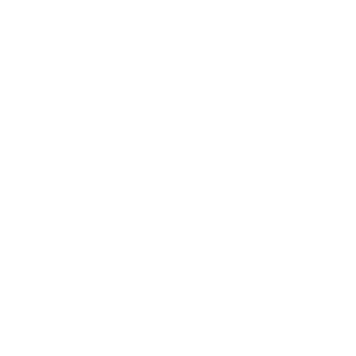 Perfil de SEORI en X